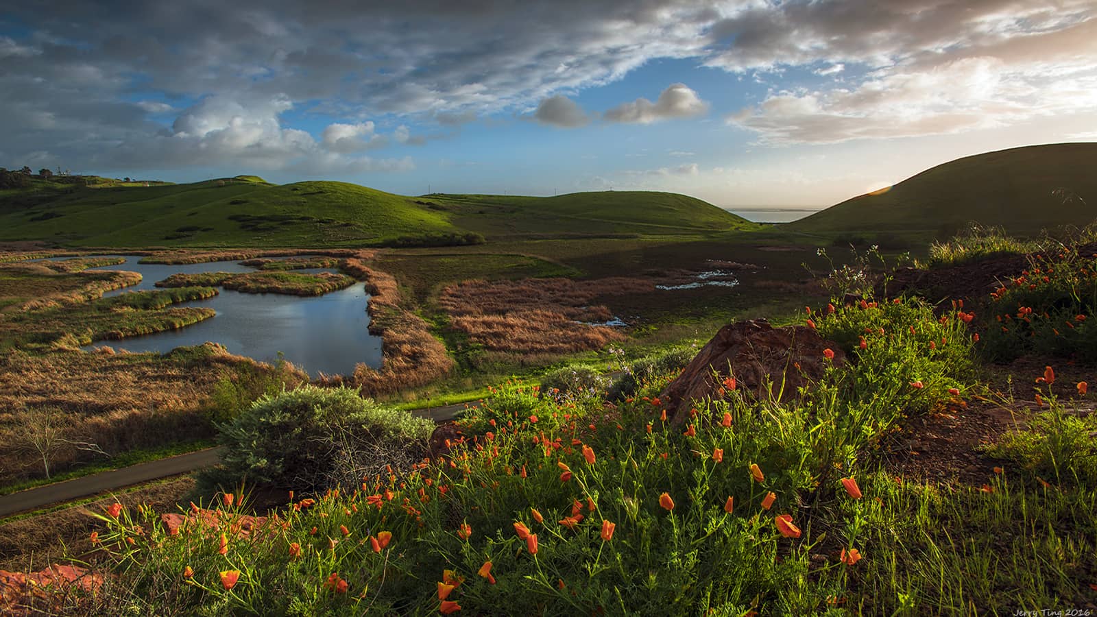 16x9_Coyote Hills_Jerry Ting (1)