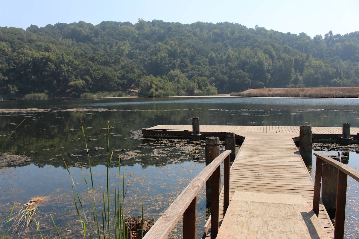 foothills-park-dock (1)