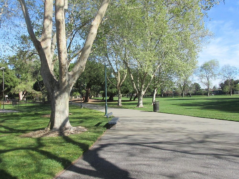 rengstorff-park-pool mountainview parks