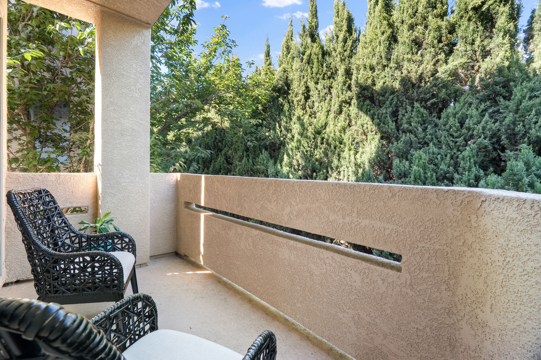 25118 Angelina Ln #20-Photo-32
